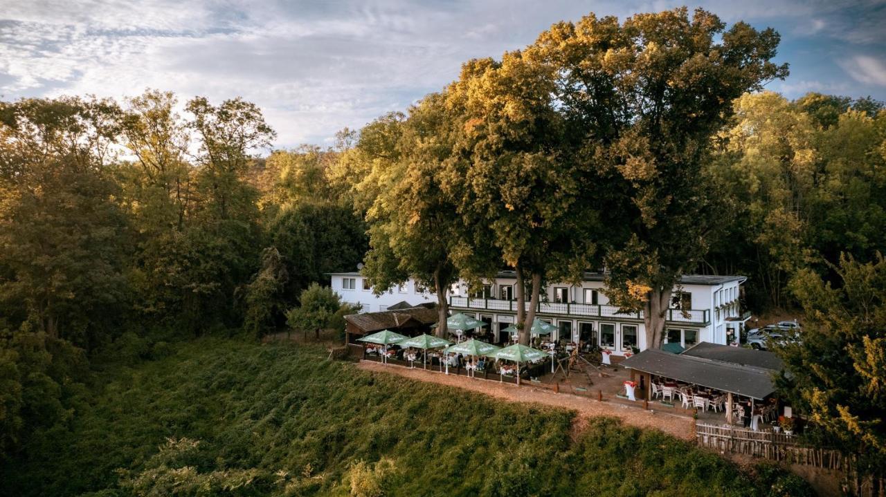 Hotel Hasenjaeger Einbeck Zewnętrze zdjęcie